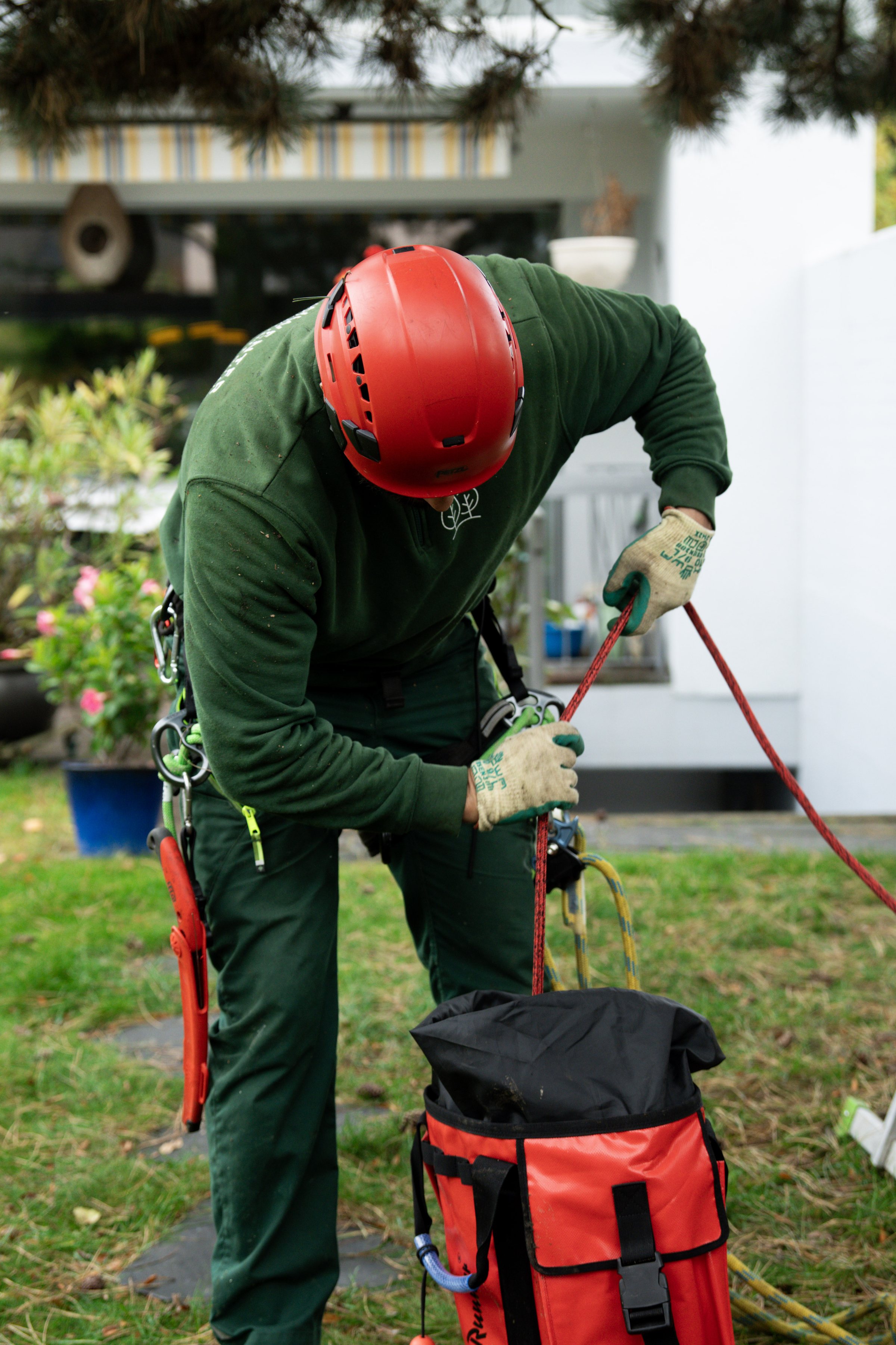 Schwenter Gartenunterhalt bei der Baumpflege mit Seilklettertechnik