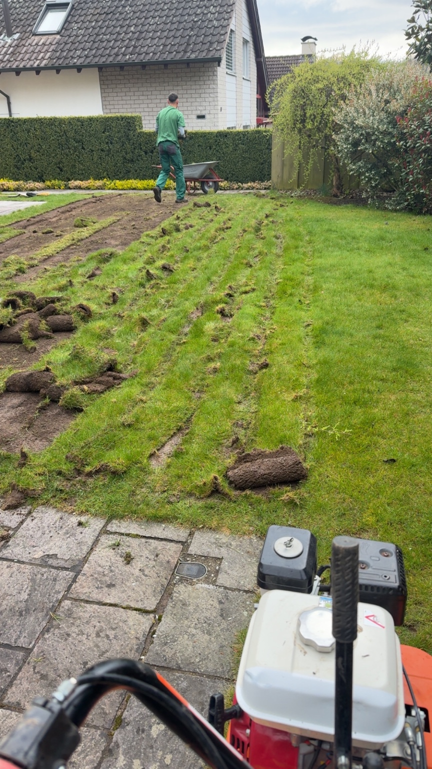 Entfernung der alten Rasenfläche in einem Privatgarten